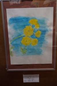 11751432_481103565384747_1723958238586698022_n[1]