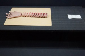 11800343_481109335384170_8010336213875074187_n[1]