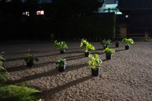 13754206_617525668409202_7404721106671920335_n[1]