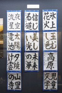 16832163_729570473871387_9009784598088917751_n[2]