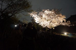 17634809_753833391445095_4488357304025713295_n[2]