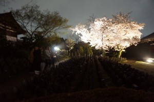 17757358_753833388111762_1797364476263041866_n[1]